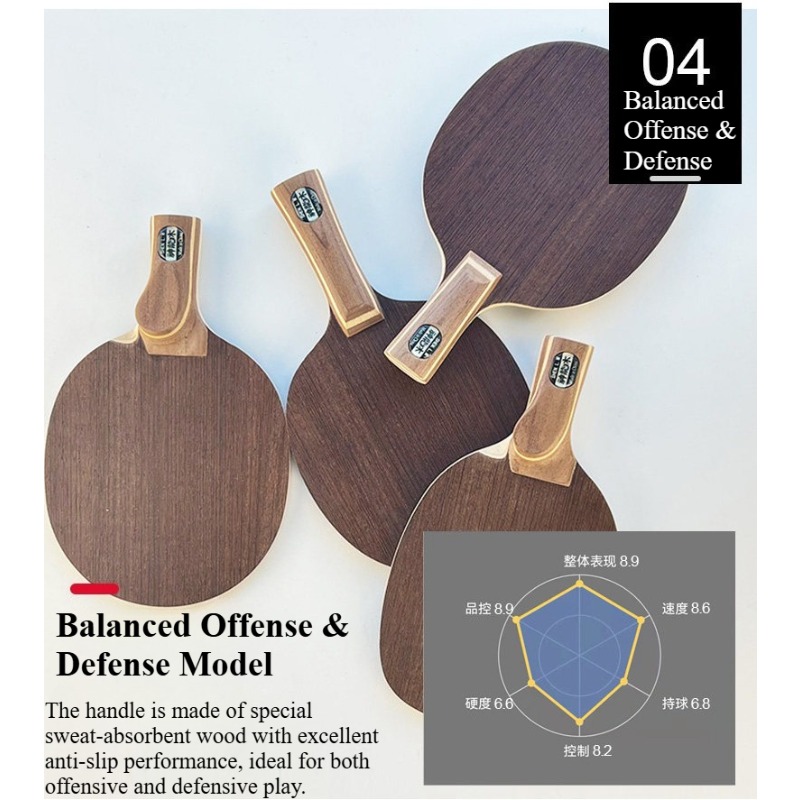 Raquette de tennis de table ch - Outdoor Furniture Wood avis et prix